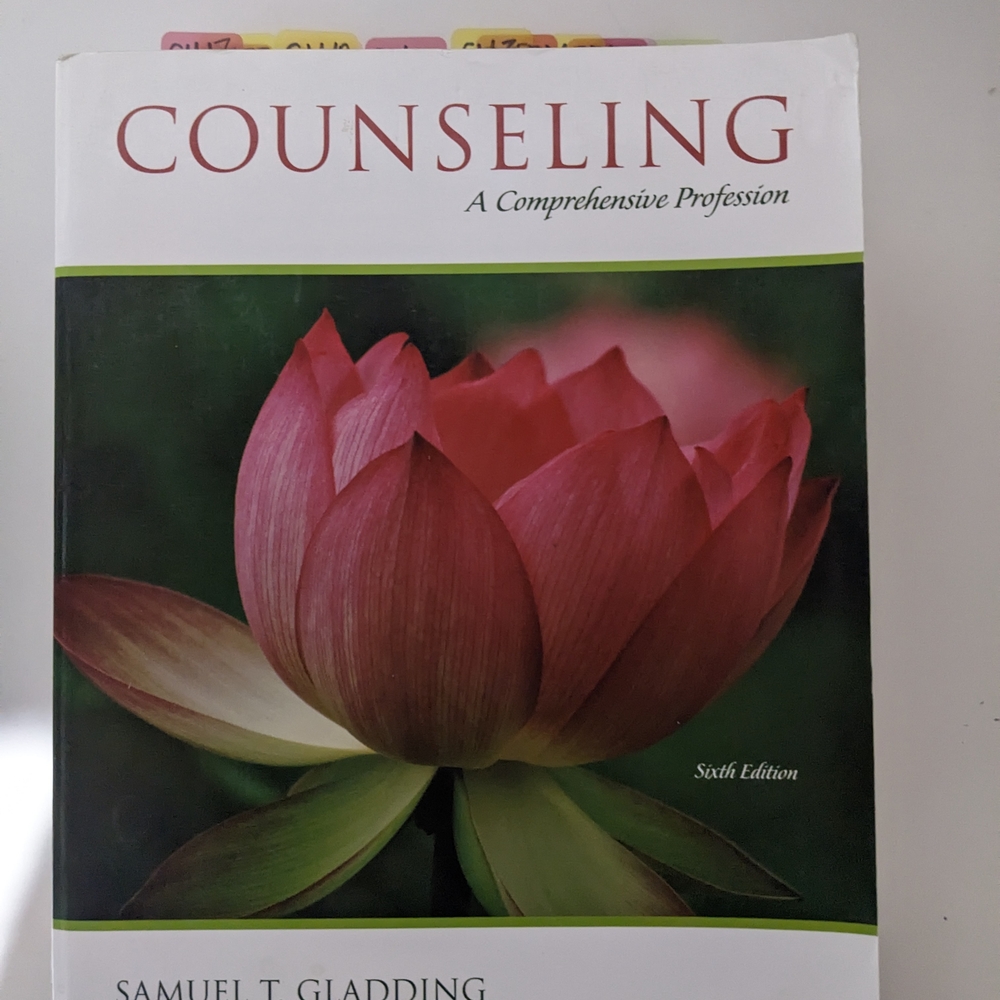 Substance Abuse/Counseling/Interpersonal Relationships - Picture 2 of 3